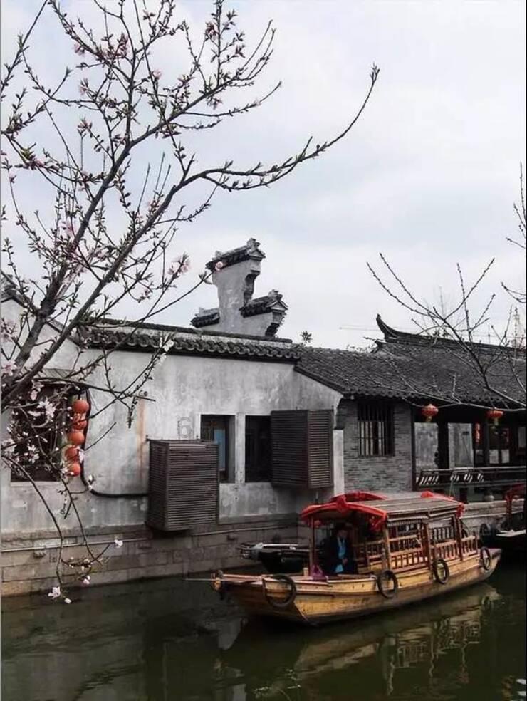 动物帮帮忙保卫家园
